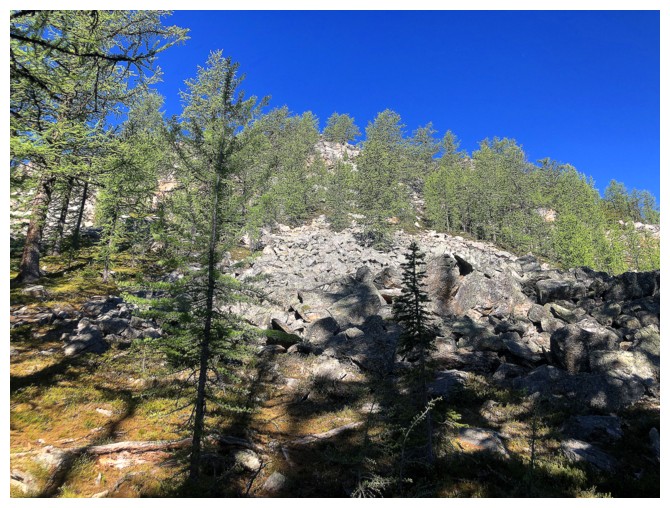 Bell Ridge