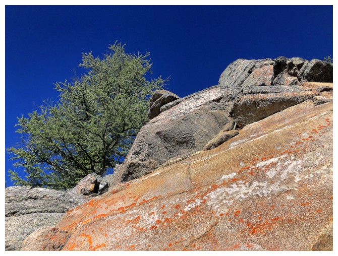 Bell Ridge