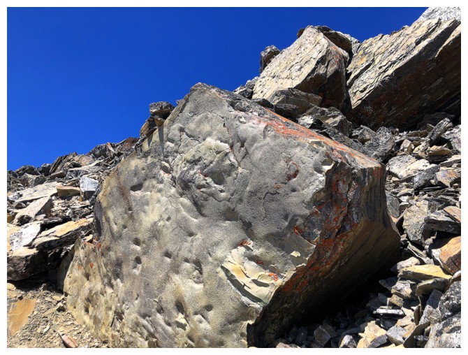 Bell Ridge