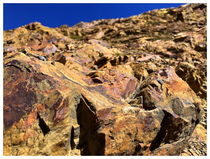 Buster Ridge