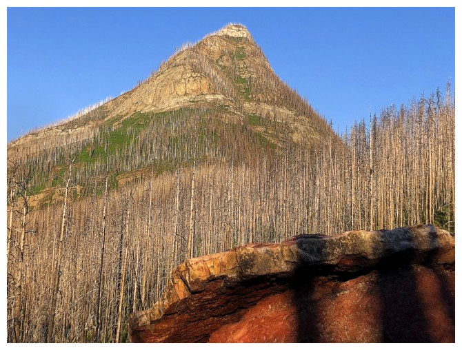 Mount Lineham III
