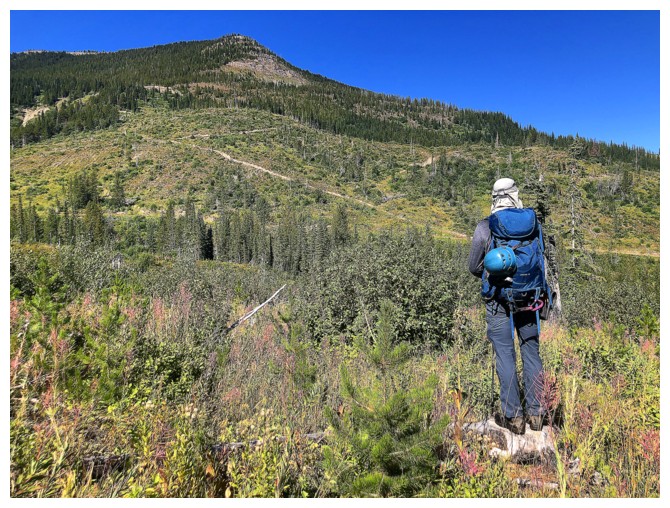 Michel Head and Michel Head Ridge