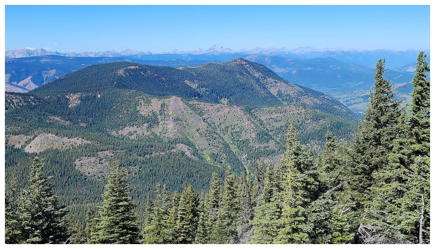 Michel Head and Michel Head Ridge