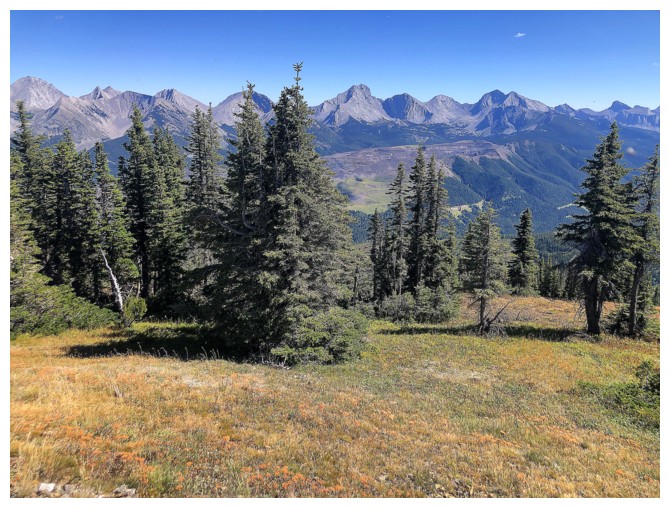 Michel Head and Michel Head Ridge