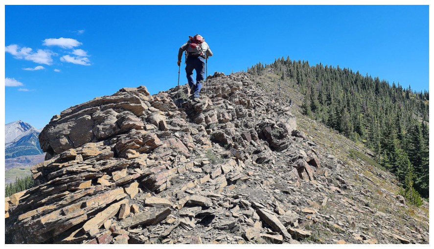 Michel Head and Michel Head Ridge
