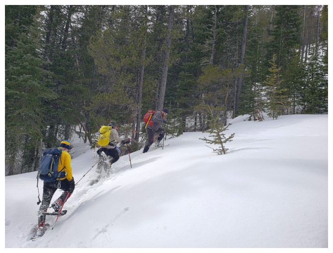Whitney Ridge