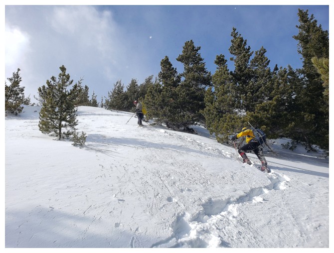 Whitney Ridge