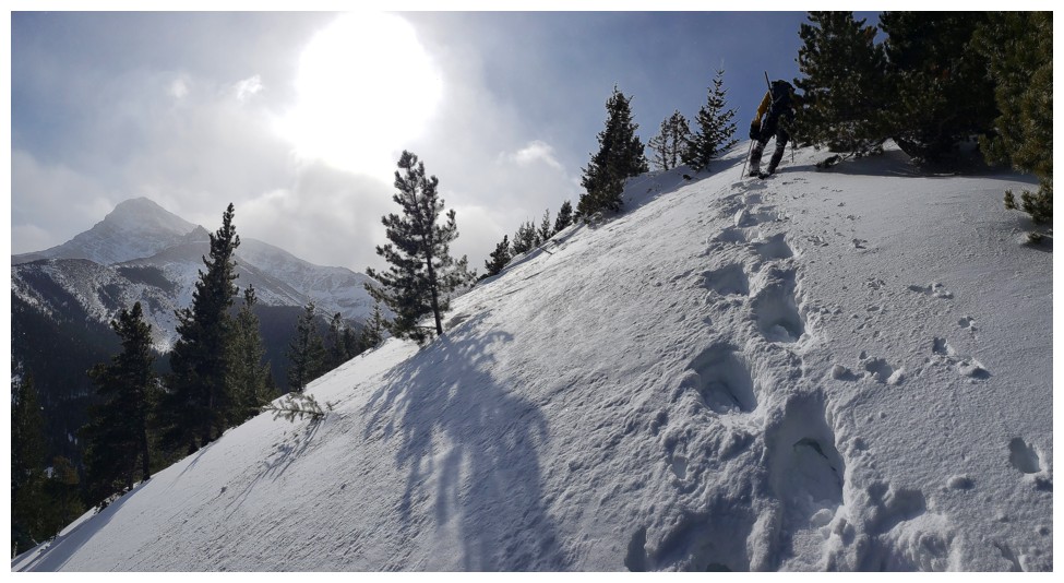 Whitney Ridge