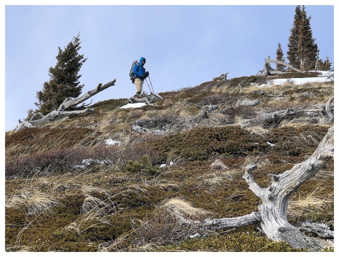 Whitney Ridge