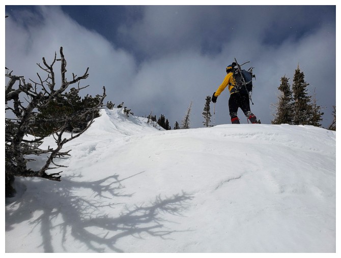 Whitney Ridge