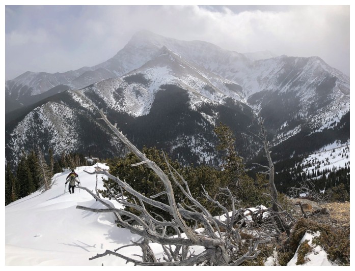 Whitney Ridge