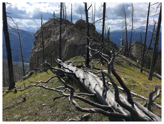 Wildhorse Ridge