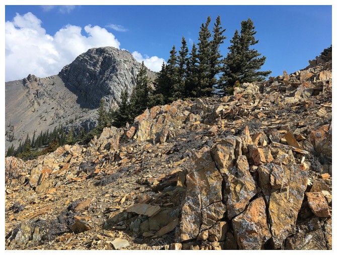 Windy Point Ridge and The Buckle