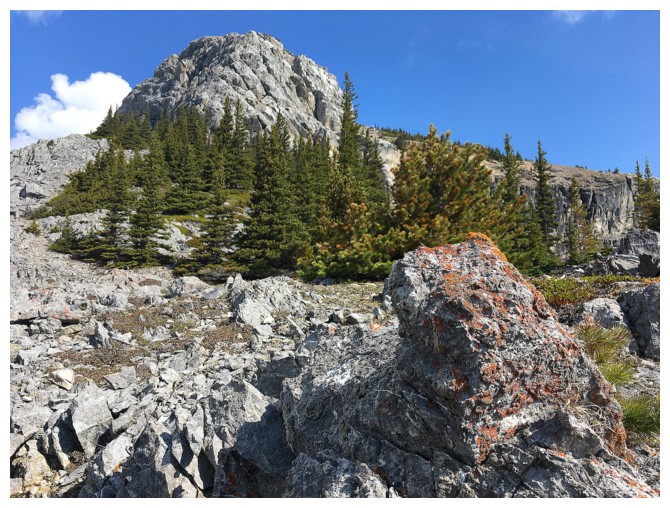 Windy Point Ridge and The Buckle