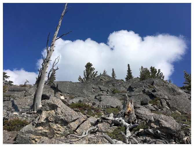 Windy Point Ridge and The Buckle